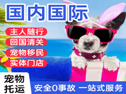 揭阳航空物流国际宠物托运 【国